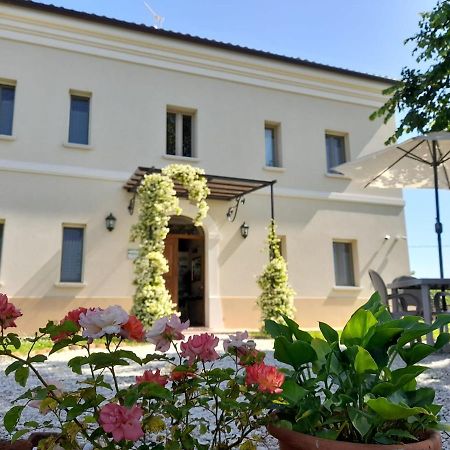 Montemaggiore al Metauro Villa Marietta Country House - Marche المظهر الخارجي الصورة