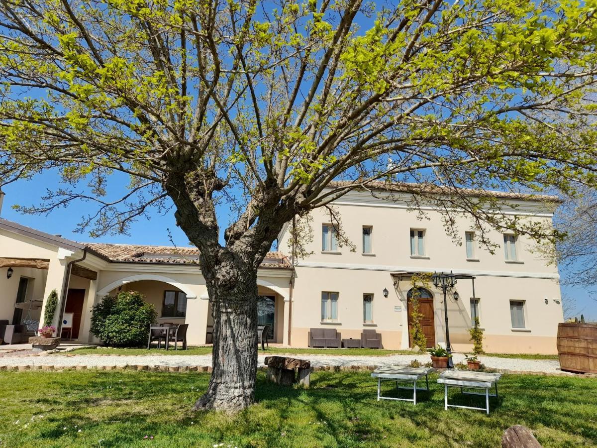 Montemaggiore al Metauro Villa Marietta Country House - Marche المظهر الخارجي الصورة