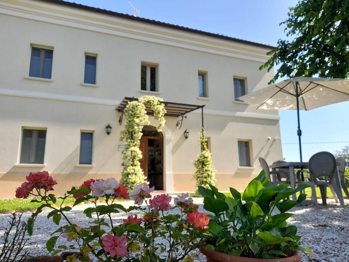 Montemaggiore al Metauro Villa Marietta Country House - Marche المظهر الخارجي الصورة