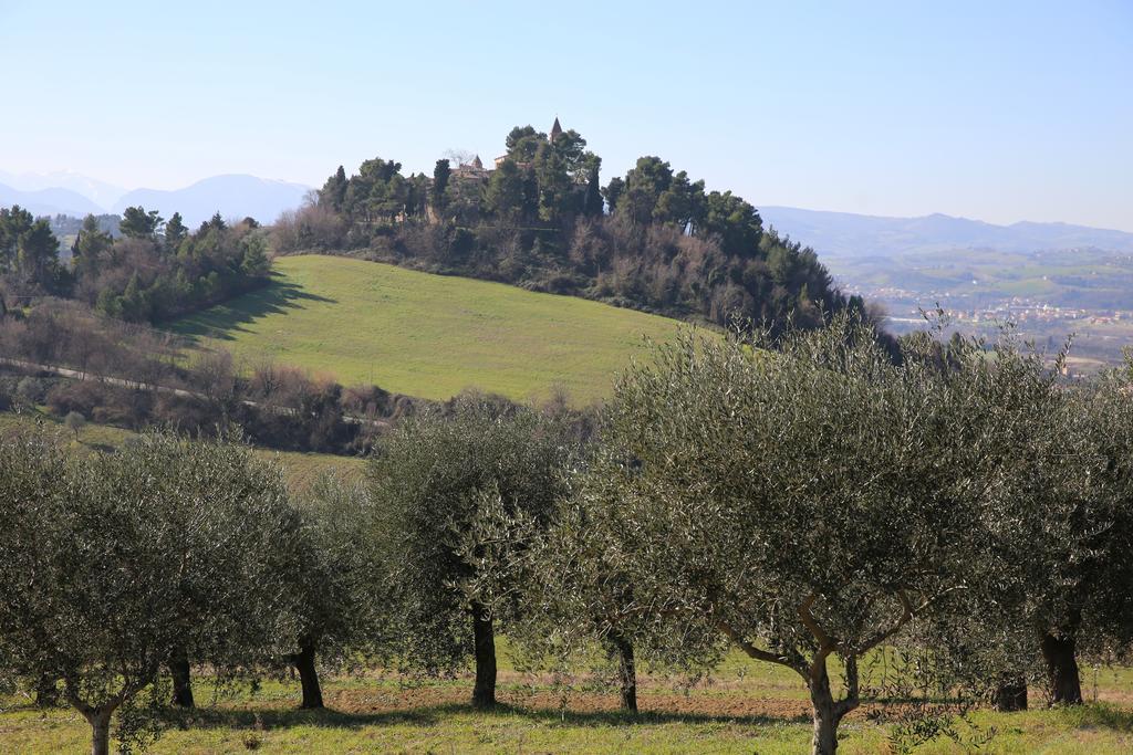 Montemaggiore al Metauro Villa Marietta Country House - Marche المظهر الخارجي الصورة