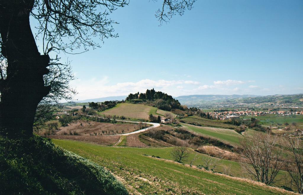 Montemaggiore al Metauro Villa Marietta Country House - Marche المظهر الخارجي الصورة